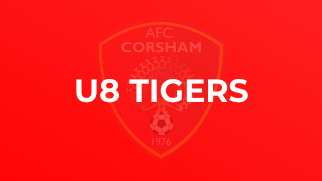 U8 Tigers