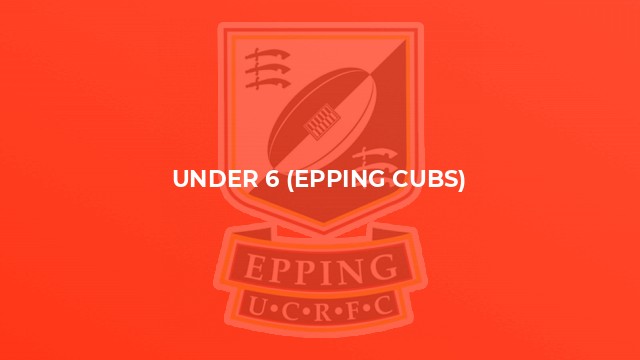 Under 6 (Epping Cubs)