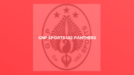 GNP Sports U12 Panthers