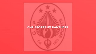 GNP Sports U11 Panthers