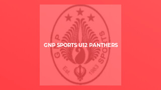 GNP Sports U12 Panthers