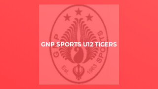GNP Sports U12 Tigers