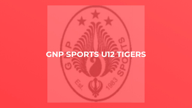 GNP Sports U12 Tigers