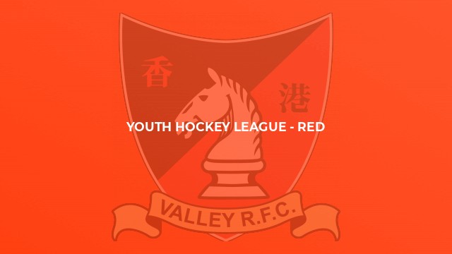 Youth Hockey League - Red