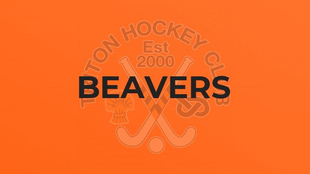 Beavers