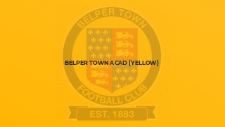 Belper Town Acad (Yellow)