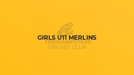 Girls U11 Merlins