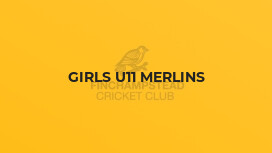 Girls U11 Merlins