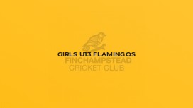Girls U13 Flamingos