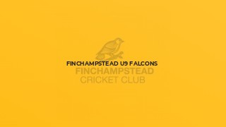 Finchampstead U9 Falcons