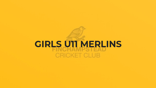 Girls U11 Merlins