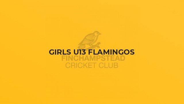 Girls U13 Flamingos