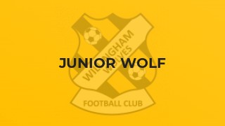 Junior Wolf