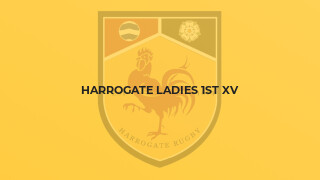 Harrogate Ladies 1st XV