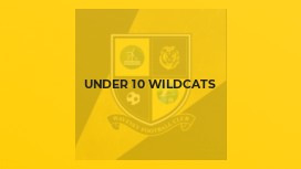 Under 10 Wildcats