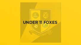 Under 11 Foxes