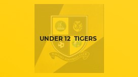 Under 12  Tigers