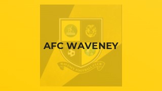 AFC Waveney