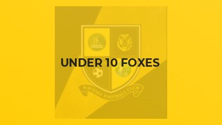 Under 10 Foxes