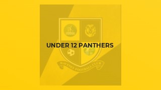 Under 12 Panthers
