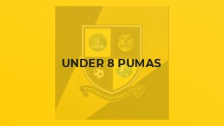Under 8 Pumas