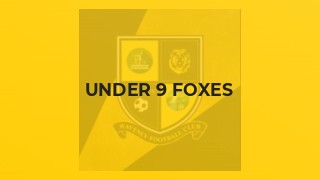 Under 9 Foxes