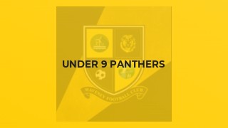 Under 9 Panthers