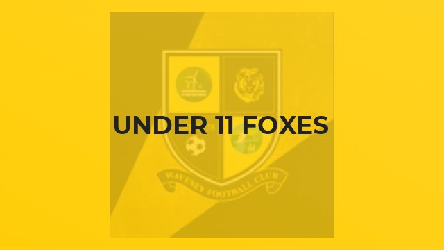 Under 11 Foxes