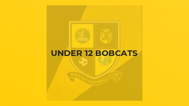Under 12 Bobcats