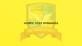AVDFC U12's Dynamos