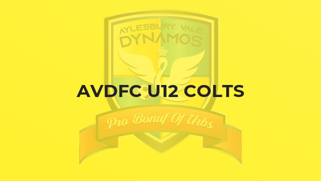 AVDFC U12 Colts