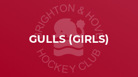Gulls (girls)
