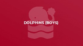 Dolphins (Boys)