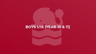 Boys U16 (year 10 & 11)