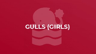 Gulls (girls)