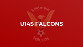 U14s Falcons
