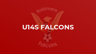 U14s Falcons