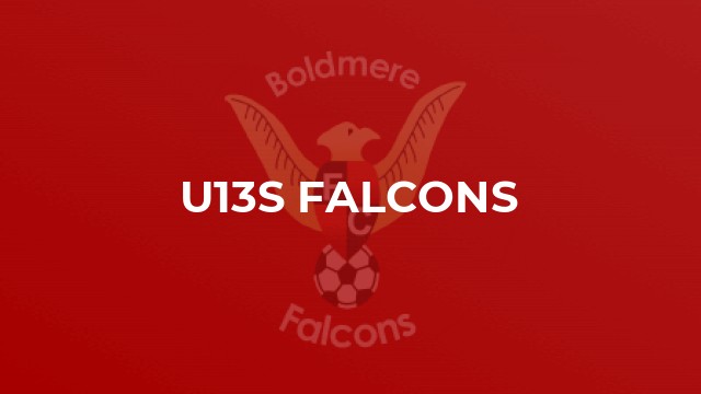 U13s Falcons