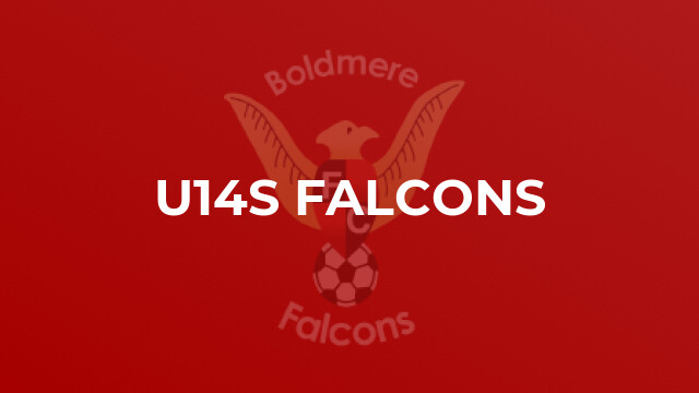 U14s Falcons