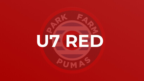 Phoenix U7 V Pumas U7
