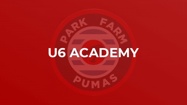 U6 Academy