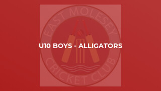 U10 Boys - Alligators