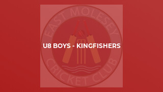 U8 Boys - Kingfishers