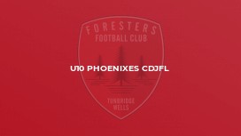 U10 Phoenixes CDJFL