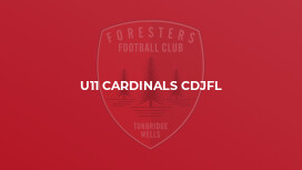 U11 Cardinals CDJFL