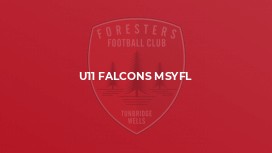 U11 Falcons MSYFL