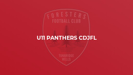 U11 Panthers CDJFL