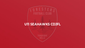 U11 Seahawks CDJFL