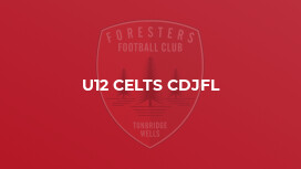 U12 Celts CDJFL