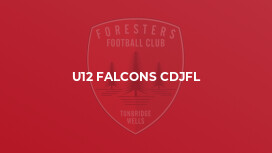 U12 Falcons CDJFL